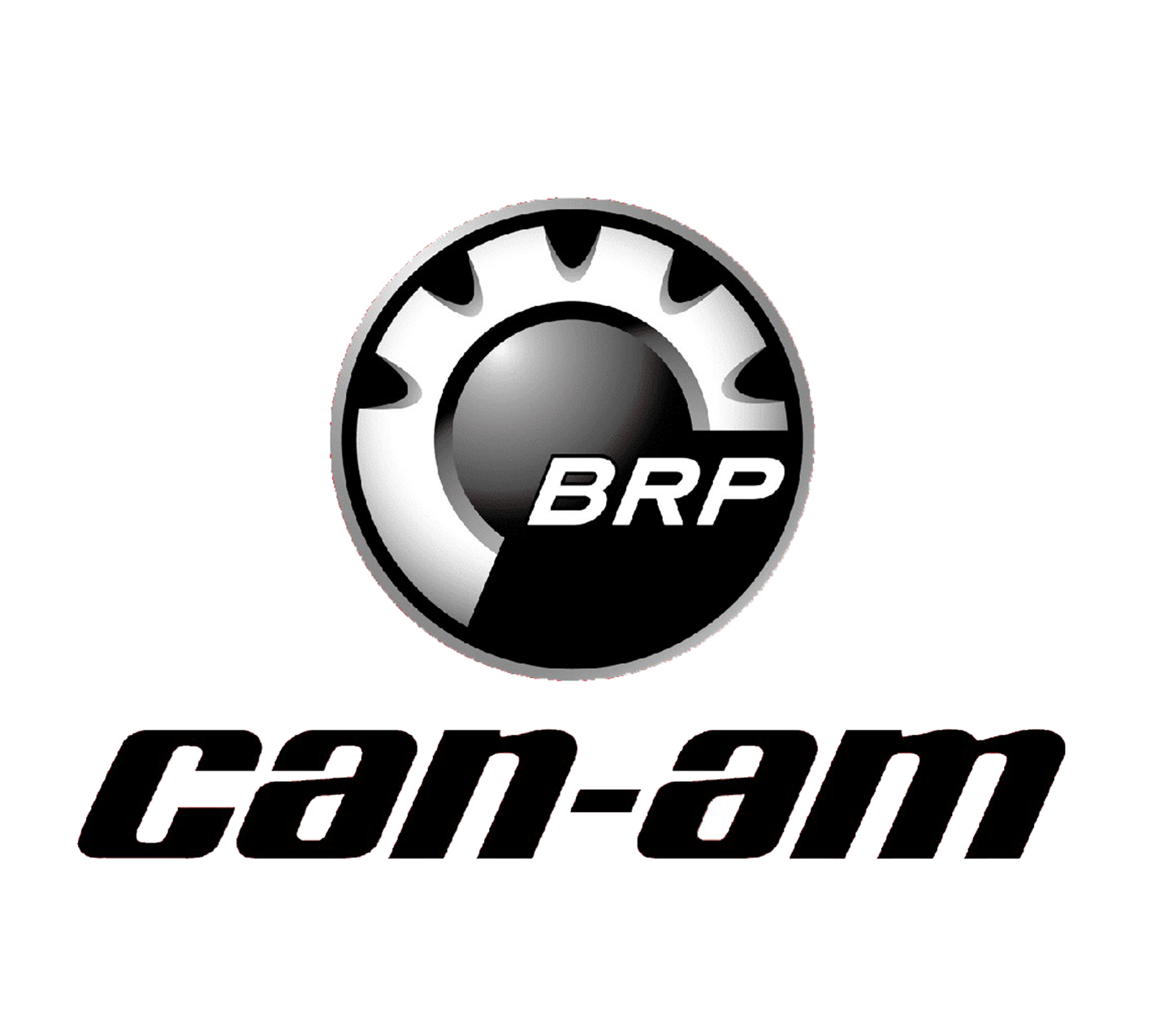 CAN-AM logo